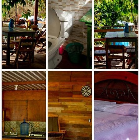 La Casa Del Nenufar Hotell Oaxaca Exteriör bild