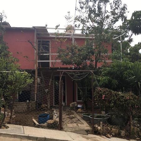 La Casa Del Nenufar Hotell Oaxaca Exteriör bild