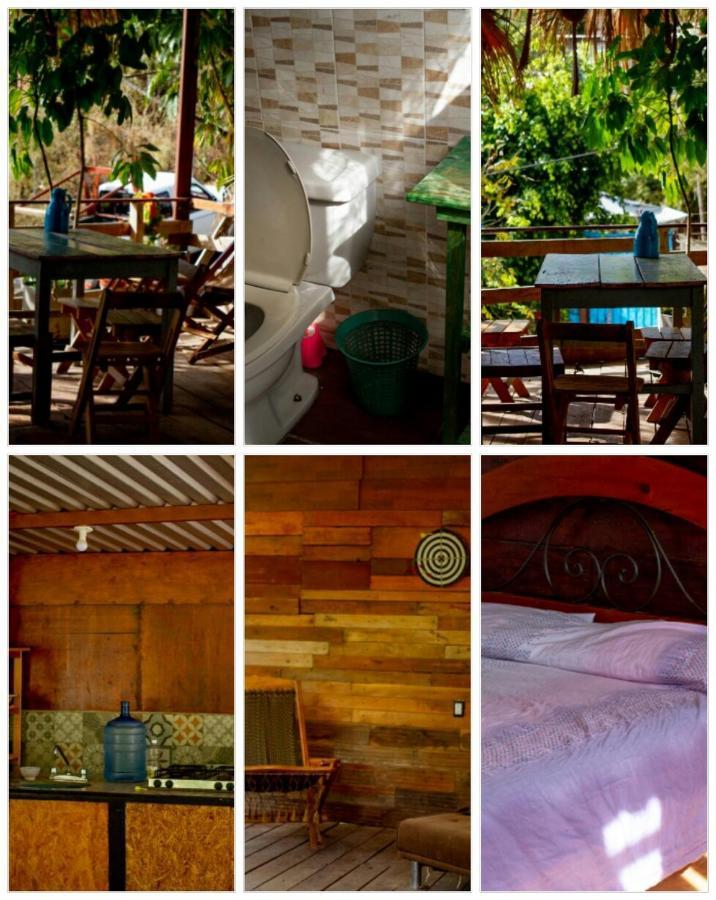 La Casa Del Nenufar Hotell Oaxaca Exteriör bild