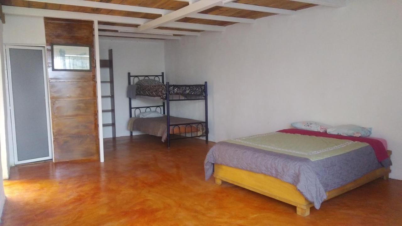 La Casa Del Nenufar Hotell Oaxaca Exteriör bild