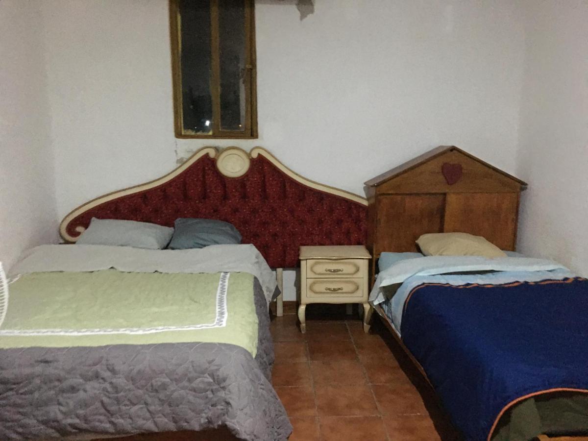 La Casa Del Nenufar Hotell Oaxaca Exteriör bild