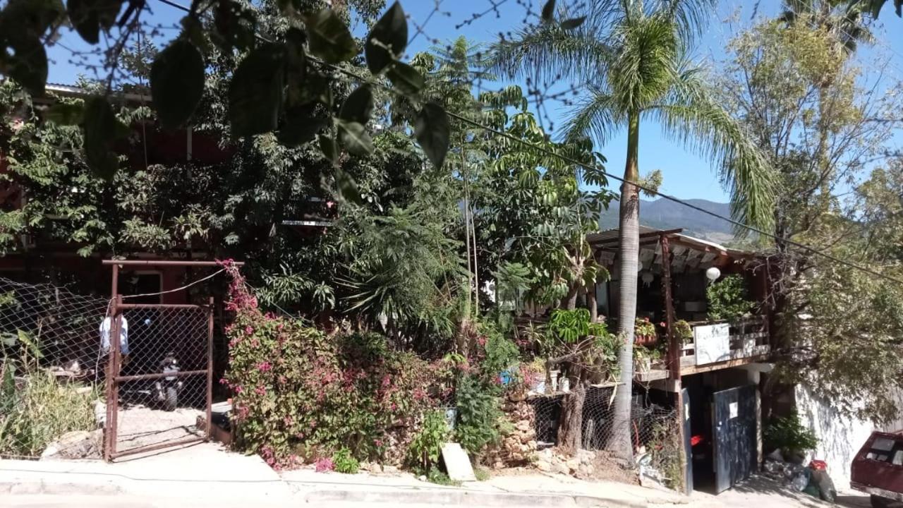 La Casa Del Nenufar Hotell Oaxaca Exteriör bild