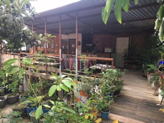 La Casa Del Nenufar Hotell Oaxaca Exteriör bild